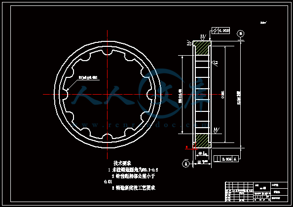 针齿壳.gif